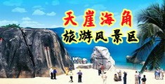 老外乱搞中国淫妇海南三亚-天崖海角旅游风景区